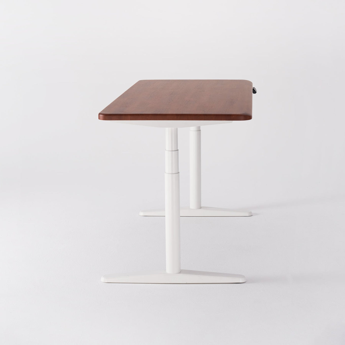 COFO Desk Premium