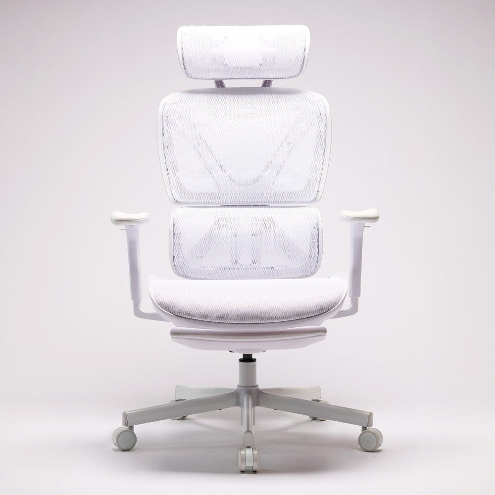 Chair – cofoglobal