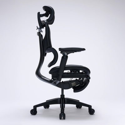 ぼね(COFO chair premium) COFO Chair Premium – cofoglobal