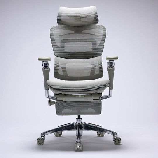 ぼね(COFO chair premium) COFO Chair Premium 2 – cofoglobal