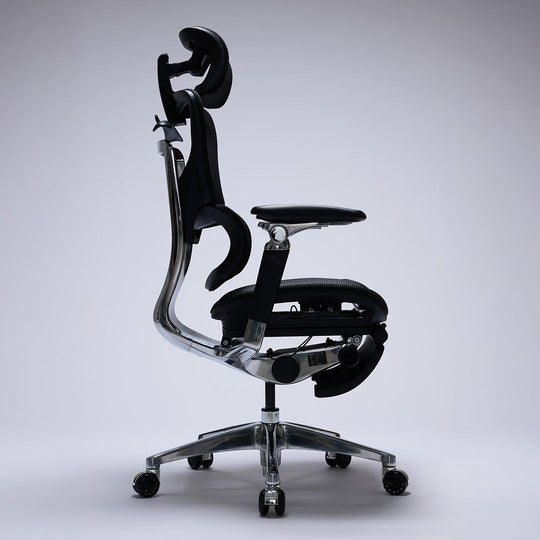ぼね(COFO chair premium) COFO Chair Premium 2 – cofoglobal